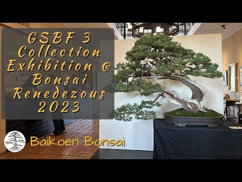 GSBF 3 Collection Exhibition at the Bonsai Rendezvous 2023 - Bonsai Exhibition - Baikoen Bonsai Club