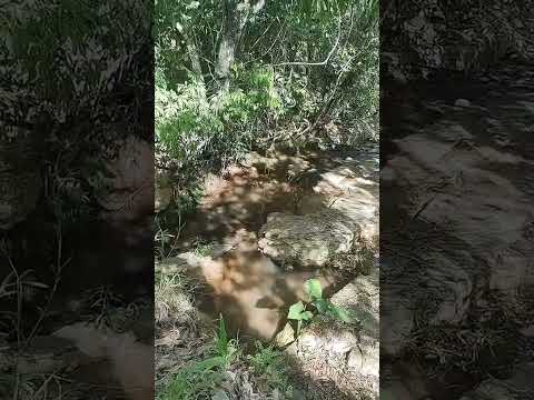 Fazenda toca do coelho, Hidrolina - Goiás. #roça #natureza #cavalo #animais #fazenda #foryou #rio