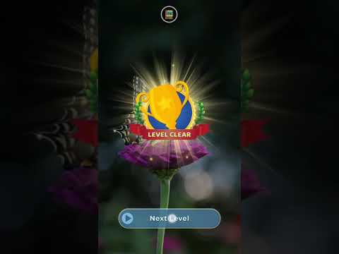 Wonders of Words : Crossword Video