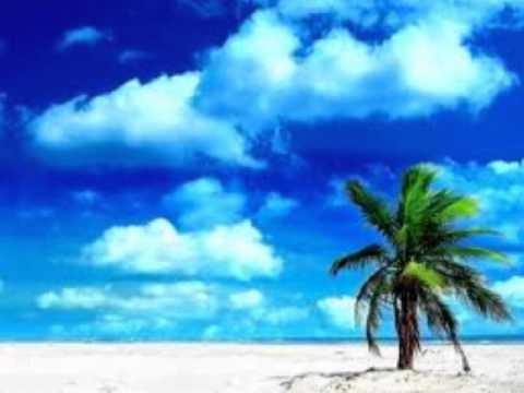 Terra Slim - Beach (Don Shellz)