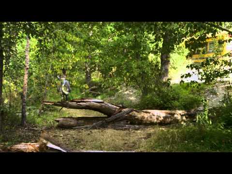 Флика 3 - Trailer