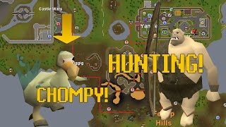 How to: An Easy Guide To Big Chompy Bird Hunting (For The Western Provinces Diaries Easy - Elite)