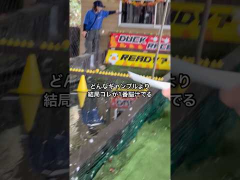 結局コレが1番脳汁でる