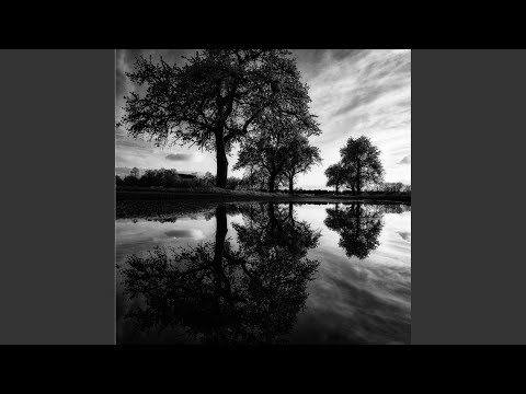 Misery (feat. Kid Cole)