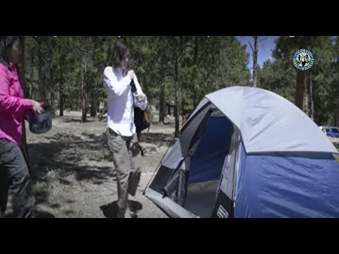 Camping and Hiking in Bear Country