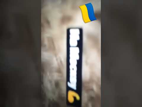 Гей,Соколи Українські соколи (Українською мовою)