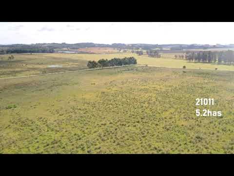 Video de YouTube - Chacra en Venta  en La Barra, Maldonado