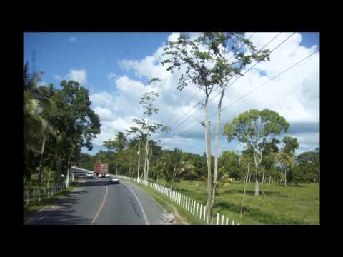 El Camino del Amor