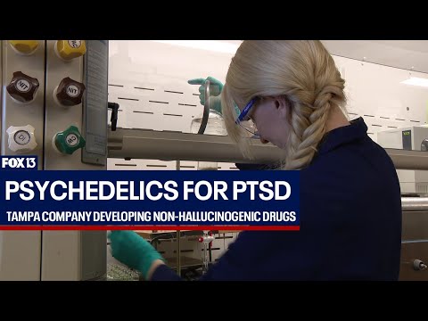 Psychedelic-assisted therapy for mental illness