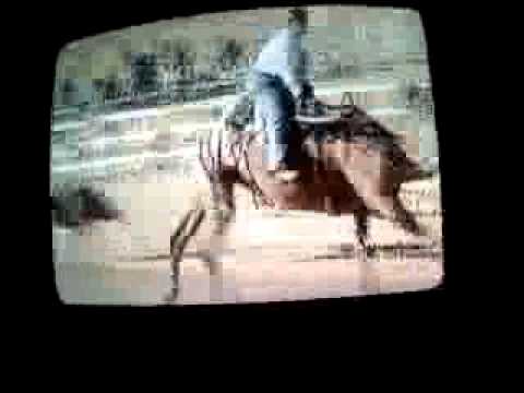 Untamed and Uncut: Camel Race Accident Pt. 5