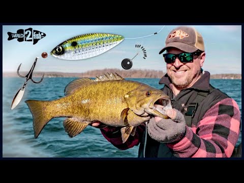 8 Late Fall Bass Spoon Refinement Tips That Work