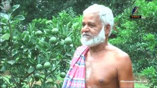 বিজয়নগরে মাল্টা চাষ