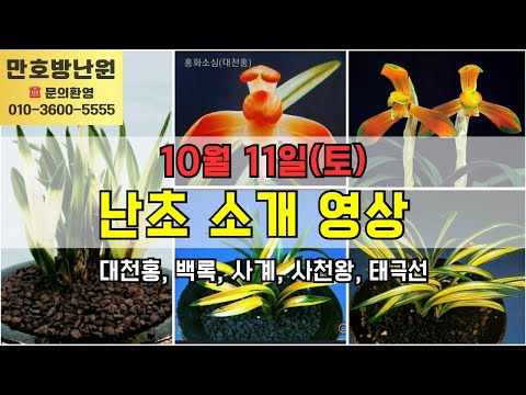 유튜브 썸네일