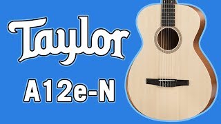 Video thumbnail for Taylor Academy 12e-N Review & Demo by Alamo Music Center