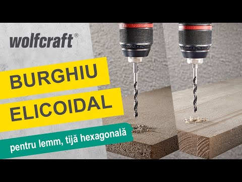 7264000_Wood-Twist-Drill-Bit-Hexagon-Shank_PRO_MCP_ro_2021.mp4