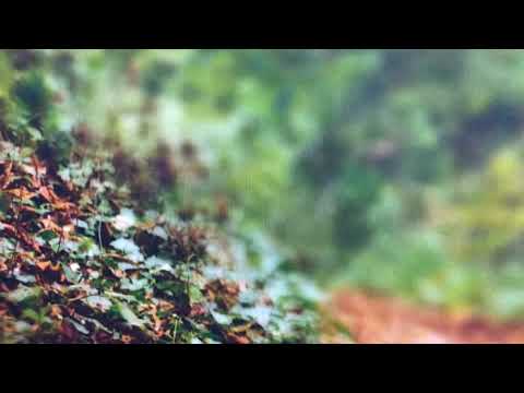 Arkaean - Ring Cairn Aurora [SS27]