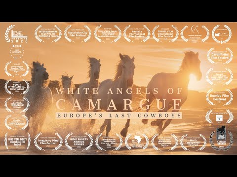 White Angels of Camargue - Europe's Last Cowboys (4K)