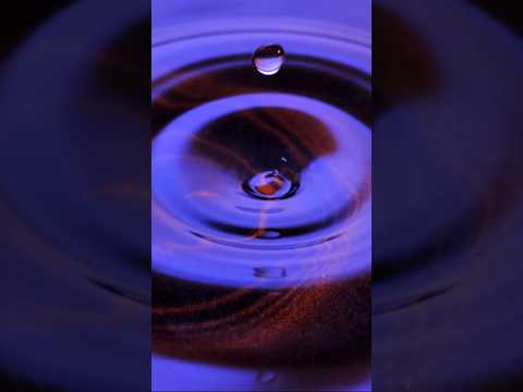 Congelar fotografías como última opción para recuperarlas en caso de desastre