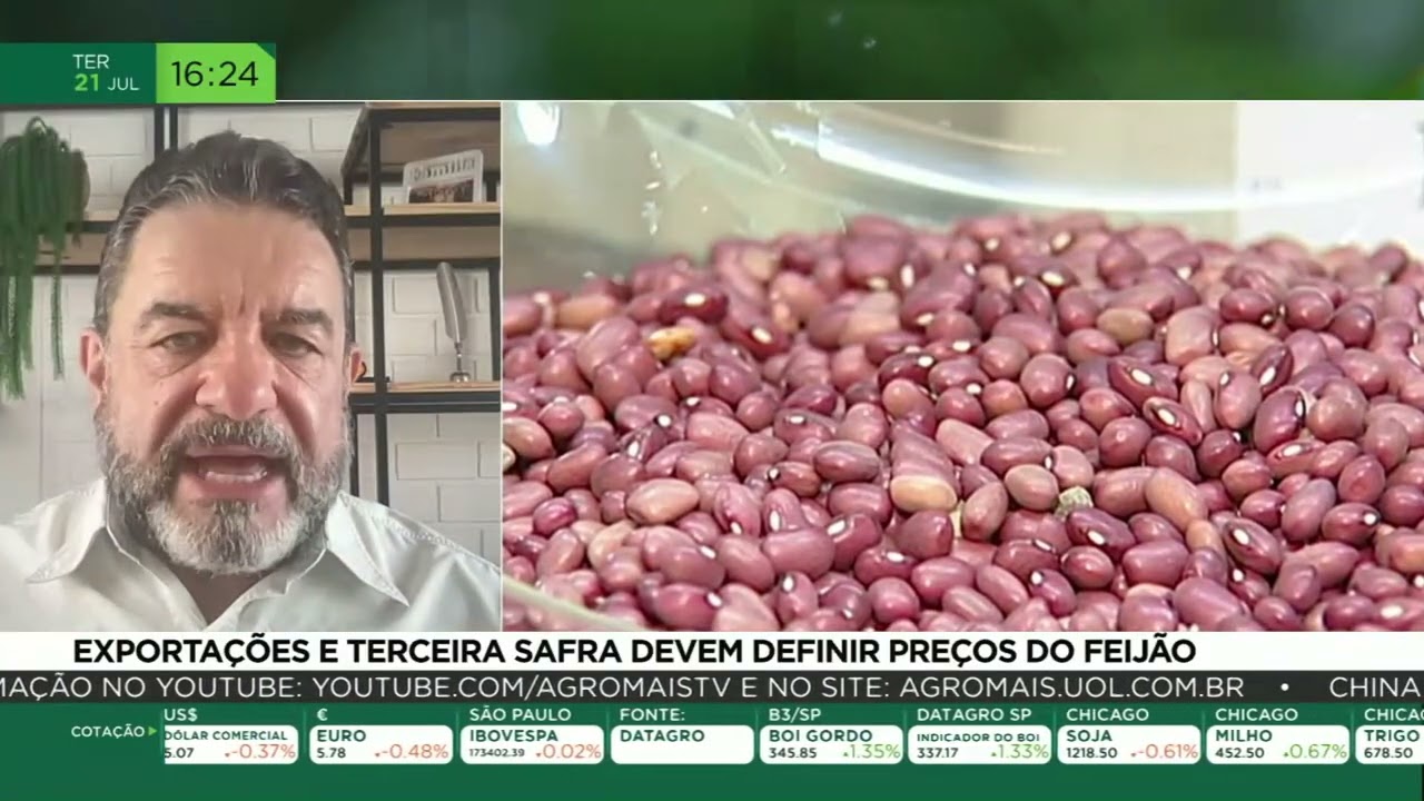 Exportações e terceira safra devem definir preço do feijão