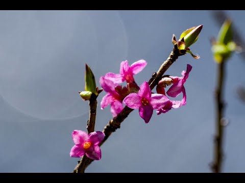 Orų prognozė: sinoptikai įspėja – viskas keisis