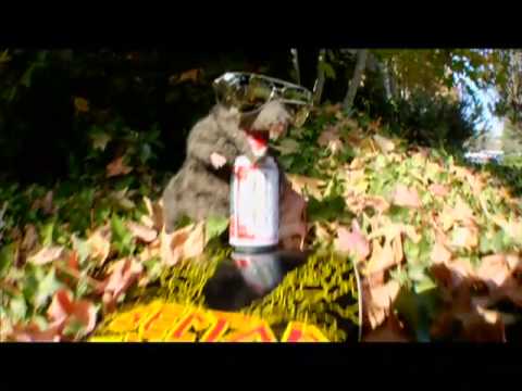 Finkel's Friday Film Droppings #4 - Jake Piasecki