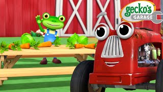 Tractor’s Big Mess! Compost Everywhere! | Gecko's Garage | Cartoons For Kids | Toddler Fun Learning