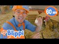Blippi Chicken Song 1 Hour Of Blippi At The Farm Moonbug Kids Farm Animals