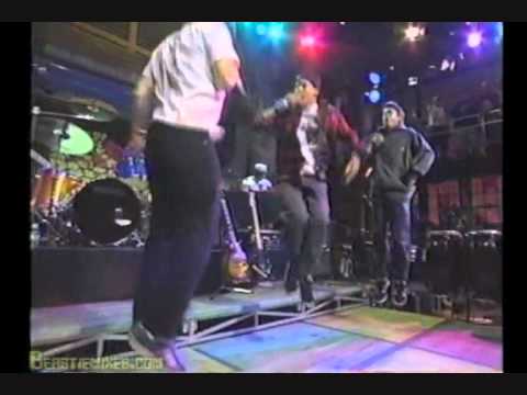 Beastie Boys So Watcha Want