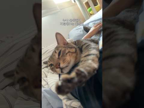 아무런 이유 없이 나를 피하는 생명체