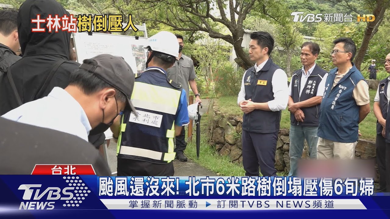 颱風還沒來！　北市6米路樹倒塌壓傷6旬婦