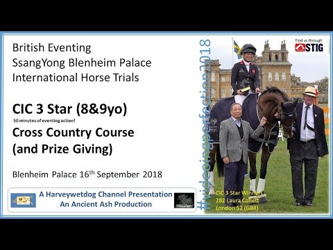 Blenheim Palace International Horse Trials: CIC 3 Star Cross Country 2018