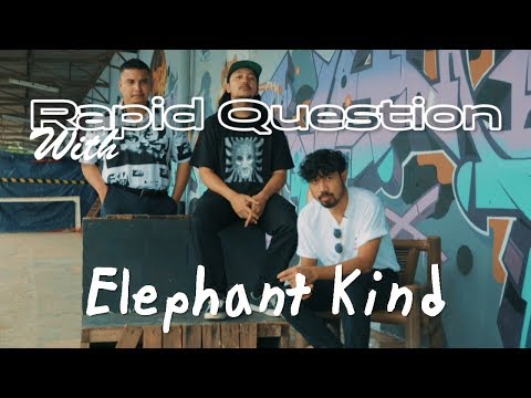 Provoke! Rapid Questions  - Elephant Kind