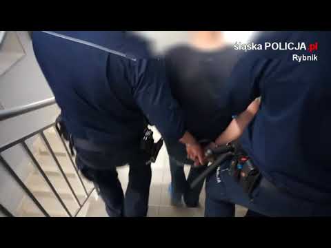Rybnik: Na oczach mieszkańców zabił psa