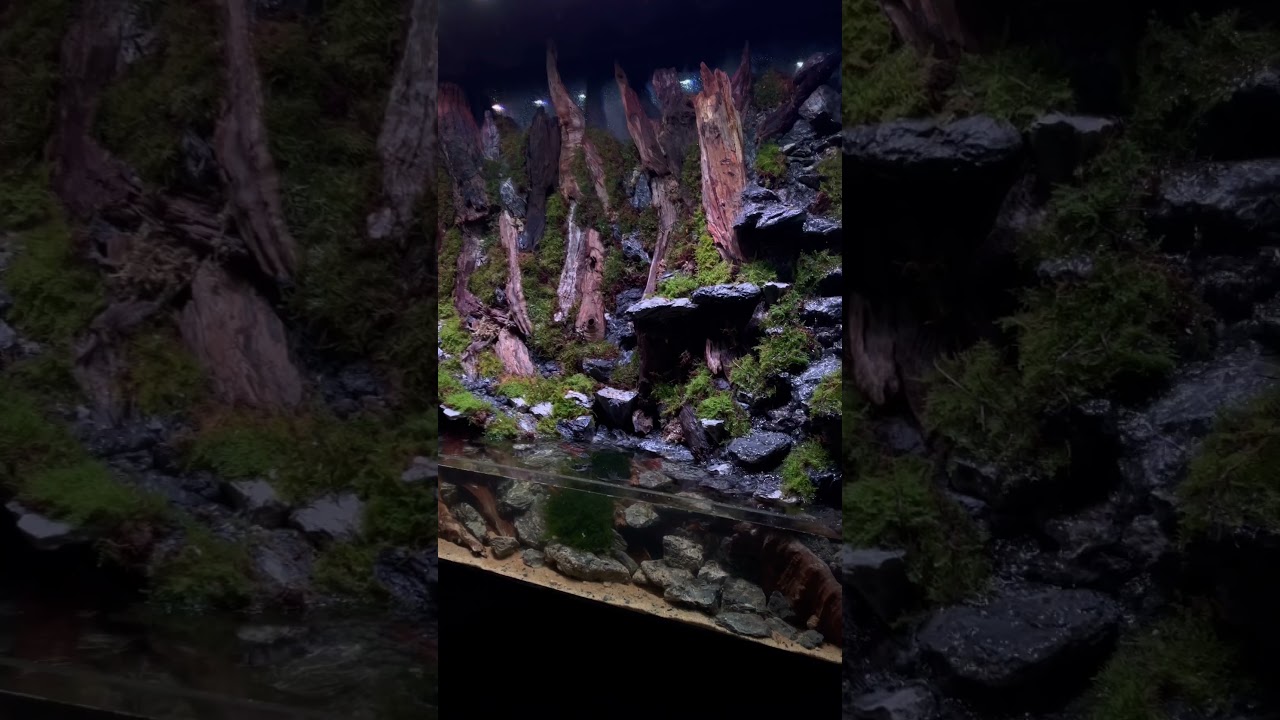 Big Paludarium 6 x 2 x 4ft (H) waterfall installed - bring natural moss waterfall in your home