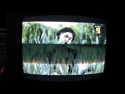 VIVA Polska: Donatan ft. Borixon, Kajman - Nie lubimy robić