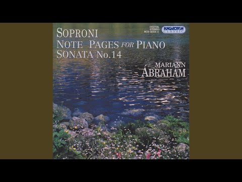 Sonata No 14 (2001) - I. Andante