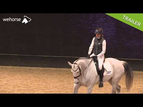 Wie löse ich mein Pferd mit Cavaletti? | Ingrid Klimke @ EQUITANA 2019