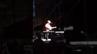 We Are The Willd Ones- Mike Bird/Cinemaboy @viteculture festival, Ex Dogana Roma