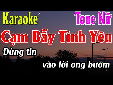 Cạm Bẫy Tình Yêu Karaoke Tone Nữ Karaoke Lâm Organ - Beat Mới