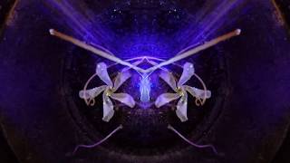 Sous Le Sable - Camille ( ouï ) / lioli - Handmade Vj