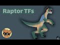 Raptor Transformation Raptor TF