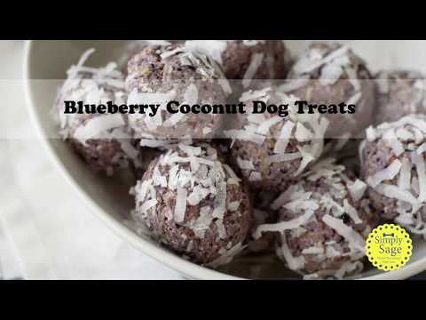 download lagu mp3 mp4 Coconut Flour Blueberry Dog Treats, download lagu Coconut Flour Blueberry Dog Treats gratis, unduh video klip Coconut Flour Blueberry Dog Treats