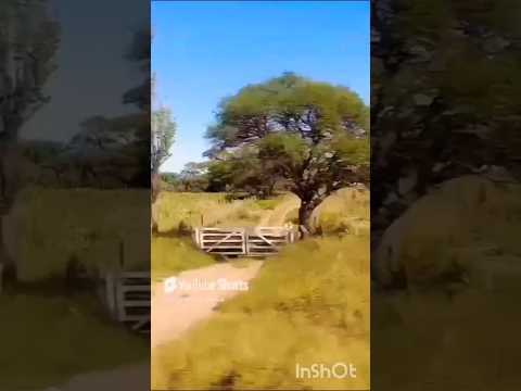 AMBUL, TRASLASIERRA, CÓRDOBA, ARGENTINA#ambultraslasierras