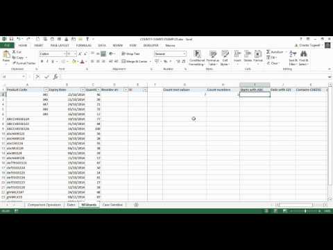 Wildcard Syntax for COUNTIFS and SUMIFS Functions