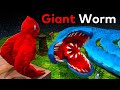 How Big Can The Worm Get