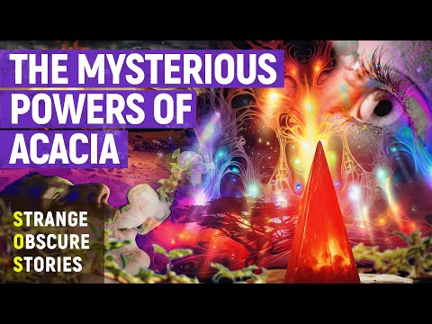 The Secret of Acacia, DMT, and the Philosopher's Stone | SOS (4K)