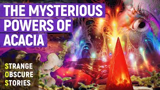 Download lagu Unlocking the Secrets of Acacia and DMT | SOS (4K) mp3 Download lagu Unlocking the Secrets of Acacia and DMT | SOS (4K) mp3