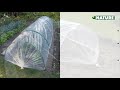 Film de forçage maraîcher 2x10 m transparent | video 1