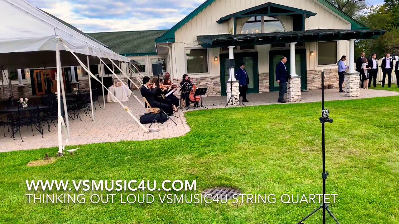 Promotional video thumbnail 25 for VSmusic4u Wedding & Event Musicians