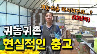 귀농 12년차, 고난에 점점 무뎌지는 과정. [참외농사] 성주 참외농가 2부.